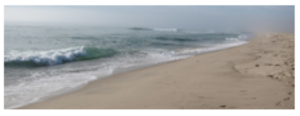 Nauset beach is a surfer's paradise