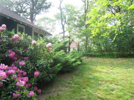 Vacation Rental Property - Bungalow - Orleans Mass., 9 Pond Road - Backyard Rhodies and Yew